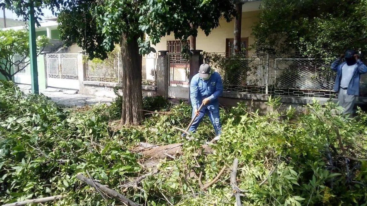 24 Lluvias dejan 200 toneladas de desecho en GP2